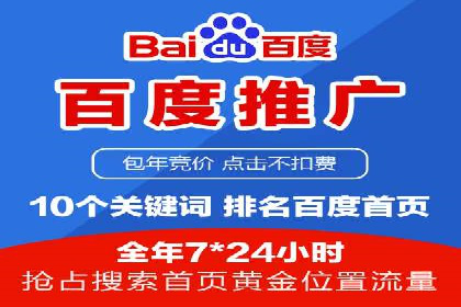 百度推广与SEO结合案例：提升网站排名的技巧